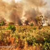 Scatti di un viaggio senza fine #6: Guinea, il caldo abbraccio di un popolo danzante