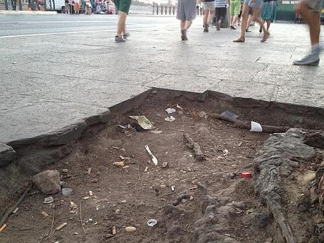 Qualcuno salvi il Colosseo da questo schifo incancrenito e connaturato dal tempo. Anche se a Roma lo pensano con vigore, questa non è la normalità. Non lo è