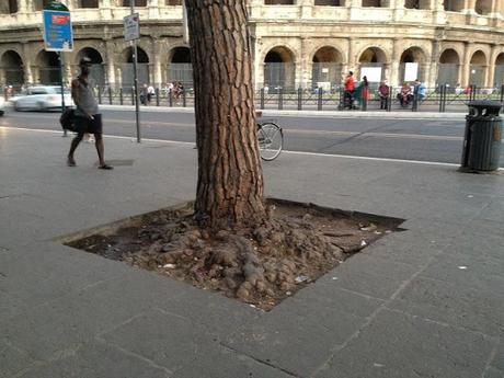 Qualcuno salvi il Colosseo da questo schifo incancrenito e connaturato dal tempo. Anche se a Roma lo pensano con vigore, questa non è la normalità. Non lo è