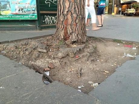 Qualcuno salvi il Colosseo da questo schifo incancrenito e connaturato dal tempo. Anche se a Roma lo pensano con vigore, questa non è la normalità. Non lo è