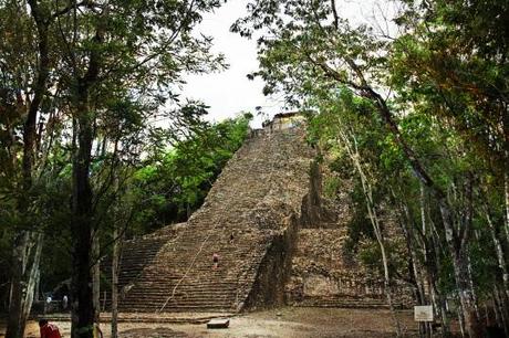 The Mexican coba5