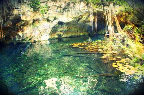 The Mexican cenote2
