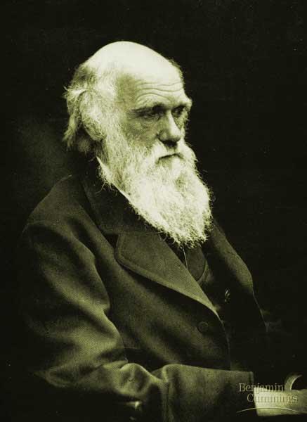 Darwin