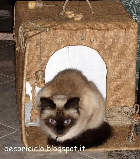 La cuccia riciclosa per Gina cuccia riciclosa di Gina 11 la prima prova di Gina