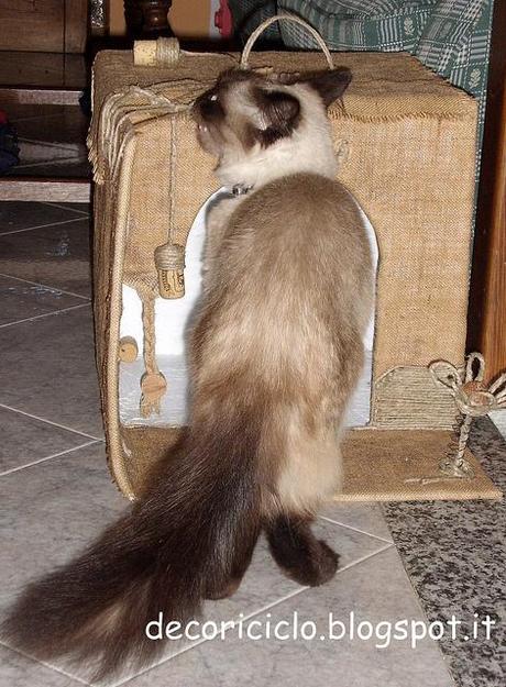 La cuccia riciclosa per Gina cuccia riciclosa di Gina 10 l'ispezione di Gina