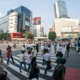 Tokyo, Kyoto e Nara: cosa fare e vedere nelle principali città del Giappone