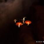 Sperimentazione micro-drone in grotta 010