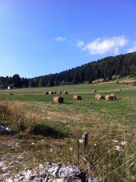 Sapori e luoghi del Trentino: Luserna e Lusernarhof, passione e comunità