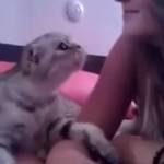 Il gatto innamorato bacia la padrona (Video)