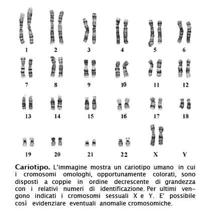 Malattie autosomiche dominanti: un approfondimento