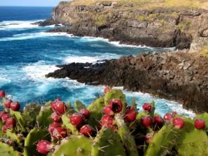 Buenavista, costa orientale di Tenerife, è il panorama di cui possono godere i giocatori di Golf del vicino, immenso, campo. 