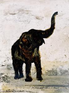 Elefante Elefante