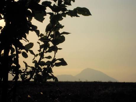 Immagini ed emozioni dei lettori: Adriana Pedicini agosto 2013