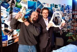 Intervista di Cristina Biolcati ad Alessandro De Maddalena: uno dei maggiori esperti sugli squali