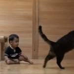 Gatto insegna a bambino a camminare (Video)