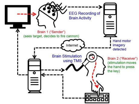 Prima interfaccia cerebrale fra due cervelli umani