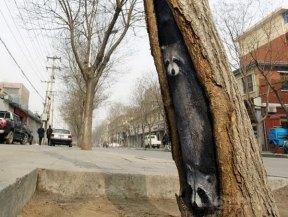 wang-yue-tree-hole-paintings-11