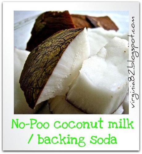 No poo #5: coconut milk/baking soda