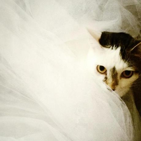 Il Postafortuna #89 Il Postafortuna #89