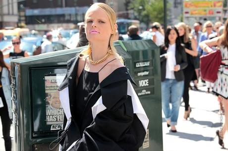 In the Street...All Crazy for Hanne Gaby #3, New York FW