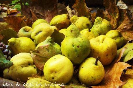 Liquore di mele cotogne: Sburlòn “Spintone”