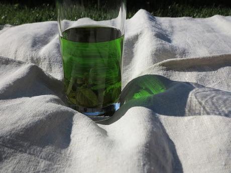 IL LIQUORE DI MENTA... il mentino!?