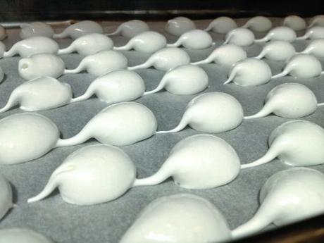 MERINGHE CON LA PANNA di UGO ALCIATI IMG_3023