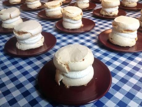 MERINGHE CON LA PANNA di UGO ALCIATI IMG_3026