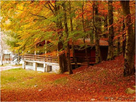 E' qui nozio? E' qui nozio?