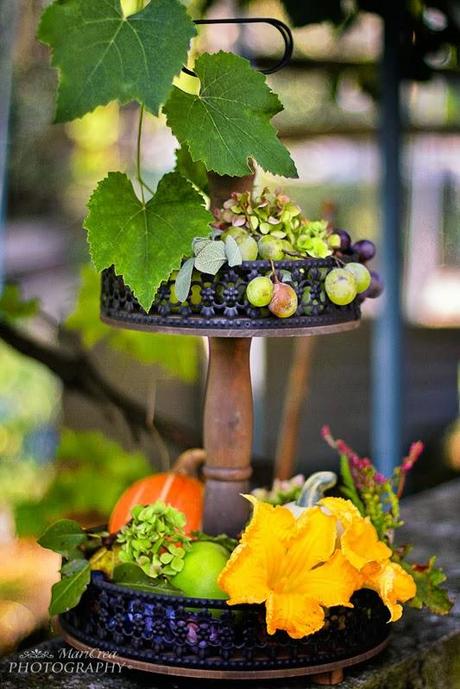 Autunno Mari Crea Photography