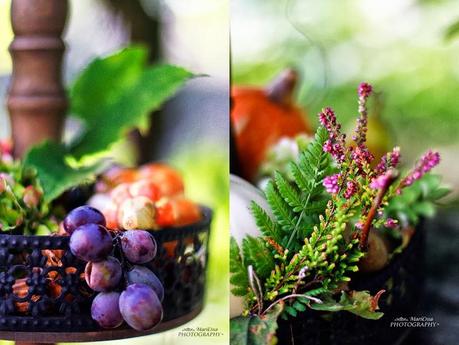 Autunno Mari Crea Photography