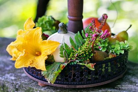 Autunno Mari Crea Photography