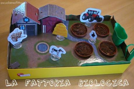 fattoria_biologica3