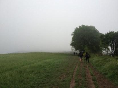 nebbia in Navarra