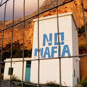 no-mafia