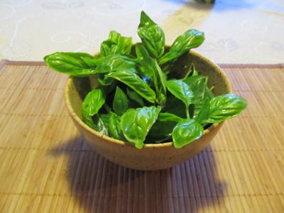 Piante officinali, quando laiuto viene dalla natura