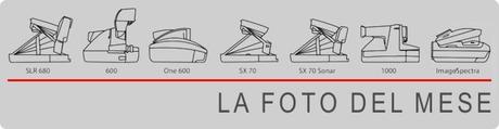 La foto del mese Settembre 2013 La foto del mese Settembre 2013
