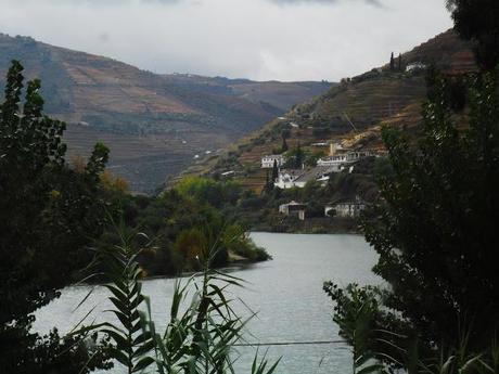 Autunno nel Douro. Vino e non solo