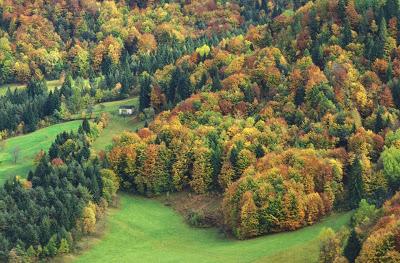 Valsugana: un po' di Storia e molta Natura Valsugana: un po' di Storia e molta Natura