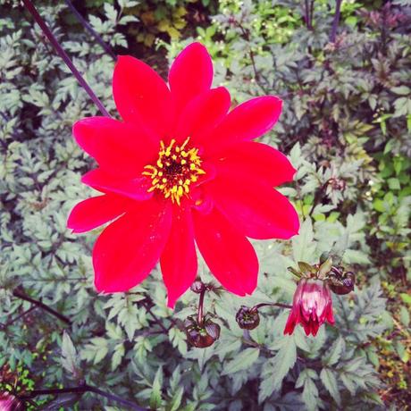 Orticolario 2013 Orticolario_2013