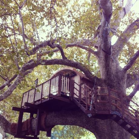 Orticolario 2013 Orticolario_2013