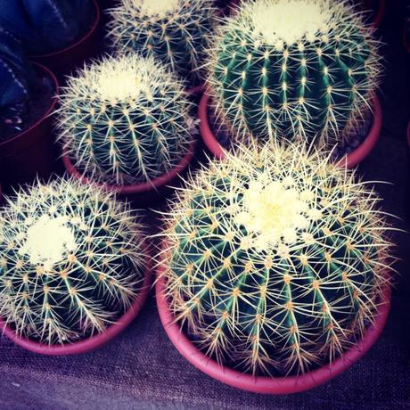 Orticolario 2013 Orticolario_2013