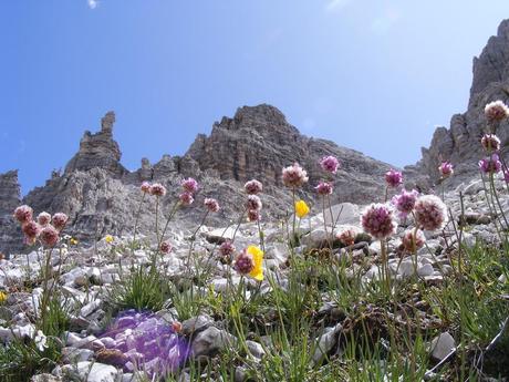 Montagna  Mon amour…