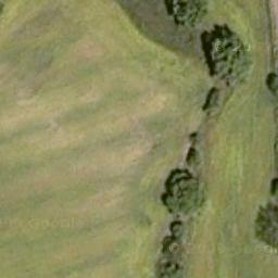 Florablog Contest: secondo albero monumentale, il cerro nei pressi di Altamura (BA) Florablog Contest: secondo albero monumentale, il cerro nei pressi di Altamura (BA)