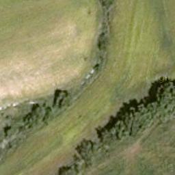 Florablog Contest: secondo albero monumentale, il cerro nei pressi di Altamura (BA) Florablog Contest: secondo albero monumentale, il cerro nei pressi di Altamura (BA)