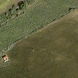 Florablog Contest: secondo albero monumentale, il cerro nei pressi di Altamura (BA) Florablog Contest: secondo albero monumentale, il cerro nei pressi di Altamura (BA)