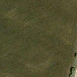 Florablog Contest: secondo albero monumentale, il cerro nei pressi di Altamura (BA) Florablog Contest: secondo albero monumentale, il cerro nei pressi di Altamura (BA)