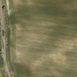 Florablog Contest: secondo albero monumentale, il cerro nei pressi di Altamura (BA) Florablog Contest: secondo albero monumentale, il cerro nei pressi di Altamura (BA)