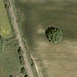 Florablog Contest: secondo albero monumentale, il cerro nei pressi di Altamura (BA) Florablog Contest: secondo albero monumentale, il cerro nei pressi di Altamura (BA)