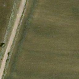 Florablog Contest: secondo albero monumentale, il cerro nei pressi di Altamura (BA) Florablog Contest: secondo albero monumentale, il cerro nei pressi di Altamura (BA)